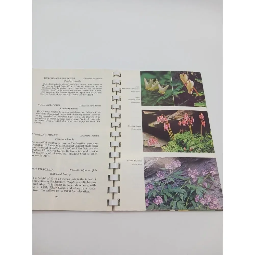 Great Smoky Mountains Wildflowers Campbell 1964 Enlarged Edition Botany UT Press
